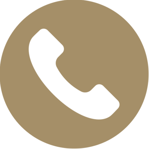 Phone Call Icon